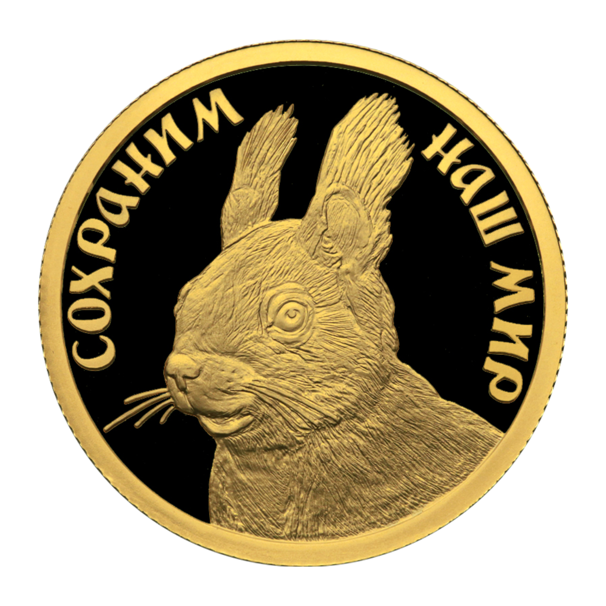 Full reverse of gold 50 roubles 2023 — Red Squirrel