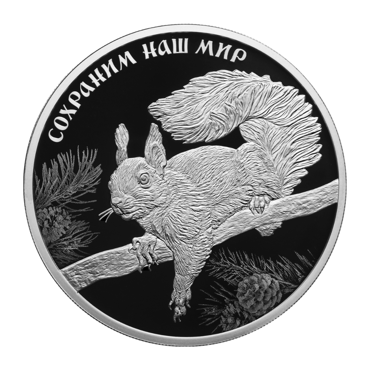 Full reverse of 3 roubles 2023 — Red squirrel