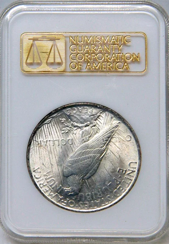 Back of one generation variant