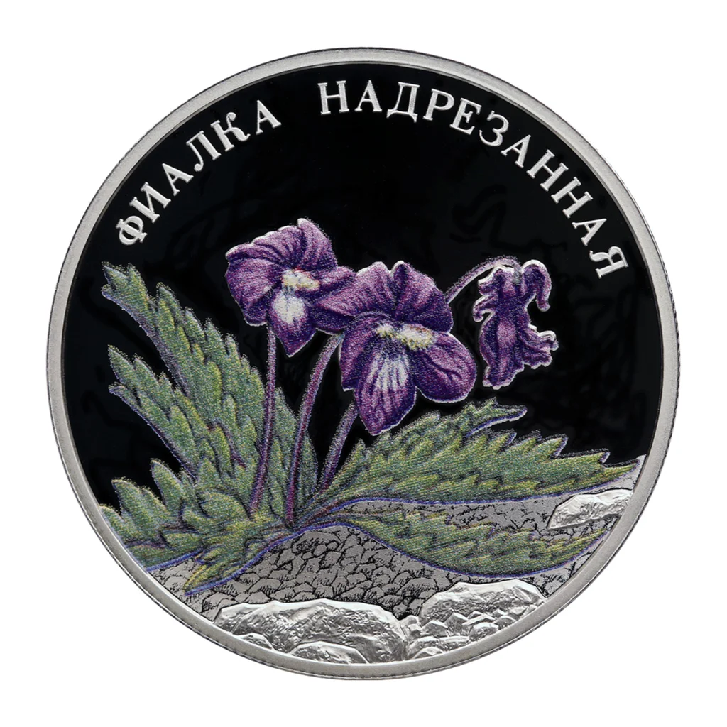 Russian Federation 2 roubles 2022 — reverse