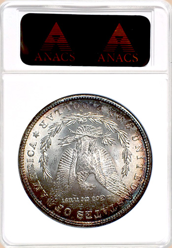 Задняя сторона держателя ANACS (Поколение 3.0) - Миниатюра