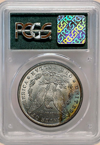 Задняя сторона держателя PCGS (Поколение 2.1А) - Миниатюра