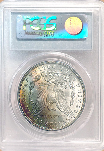 Задняя сторона держателя PCGS (Поколение 4.4) - Миниатюра